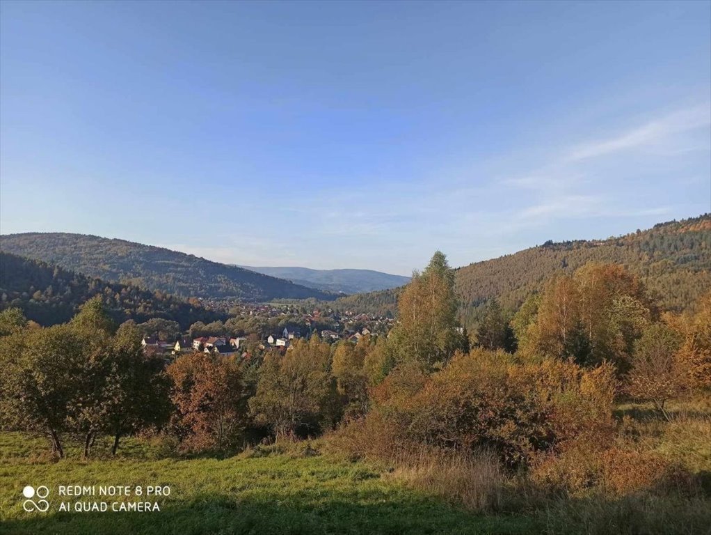 Działka rolna na sprzedaż Rajcza  3 237m2 Foto 11