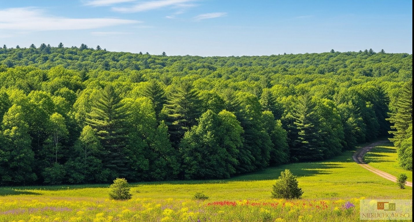 Na sprzedaż działka leśna 2,8 ha w Piotrówce - idealna na rekreację Piotrówka  28 000m2 Foto 1
