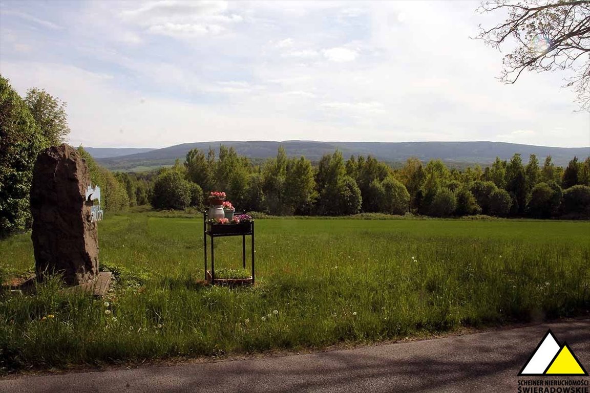 Widokowa działka 3000 m² w Grudzi z pięknymi widokami Grudza  3 000m2 Foto 1