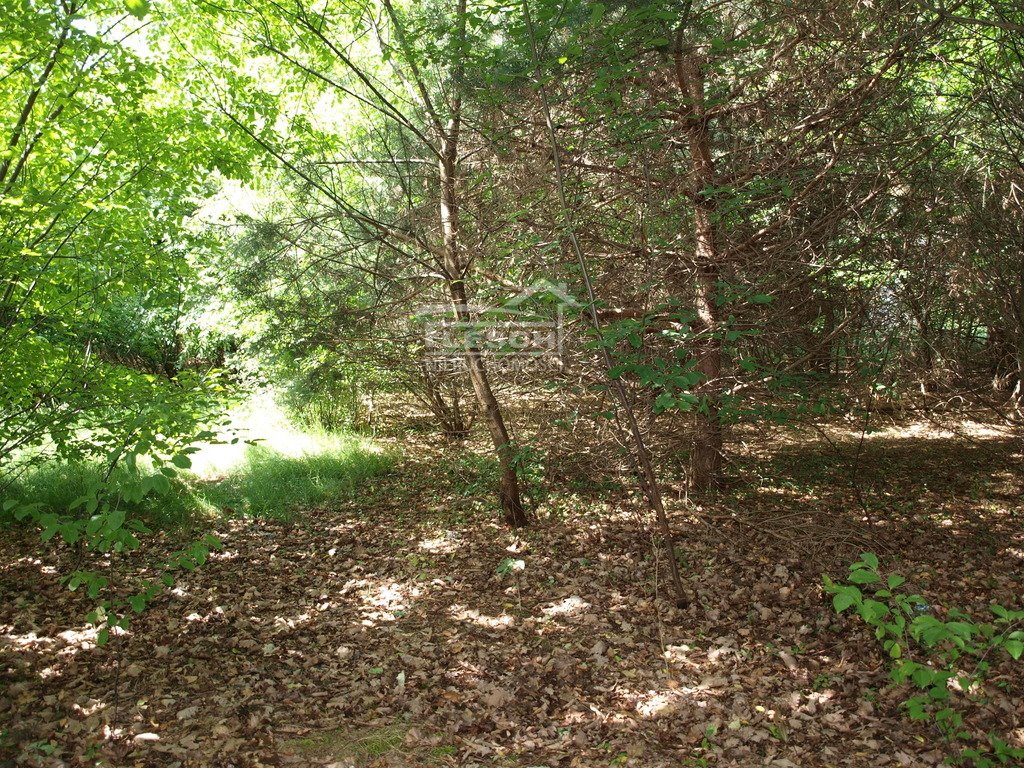 Działka budowlana na sprzedaż Stara Wieś  1 000m2 Foto 6