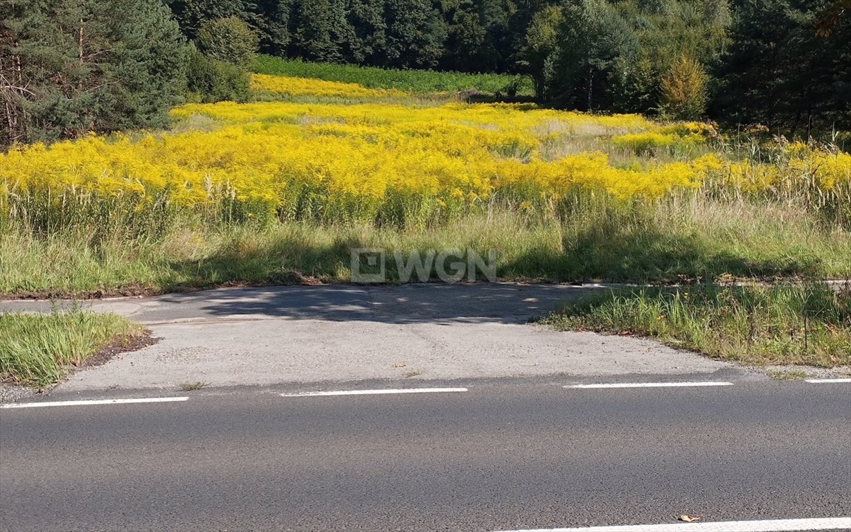 Działka komercyjna na sprzedaż Młoszowa, Krakowska  6 703m2 Foto 2