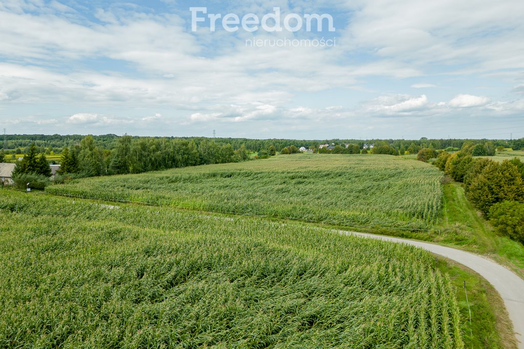 Działka budowlana na sprzedaż Wojnicz  15 850m2 Foto 13