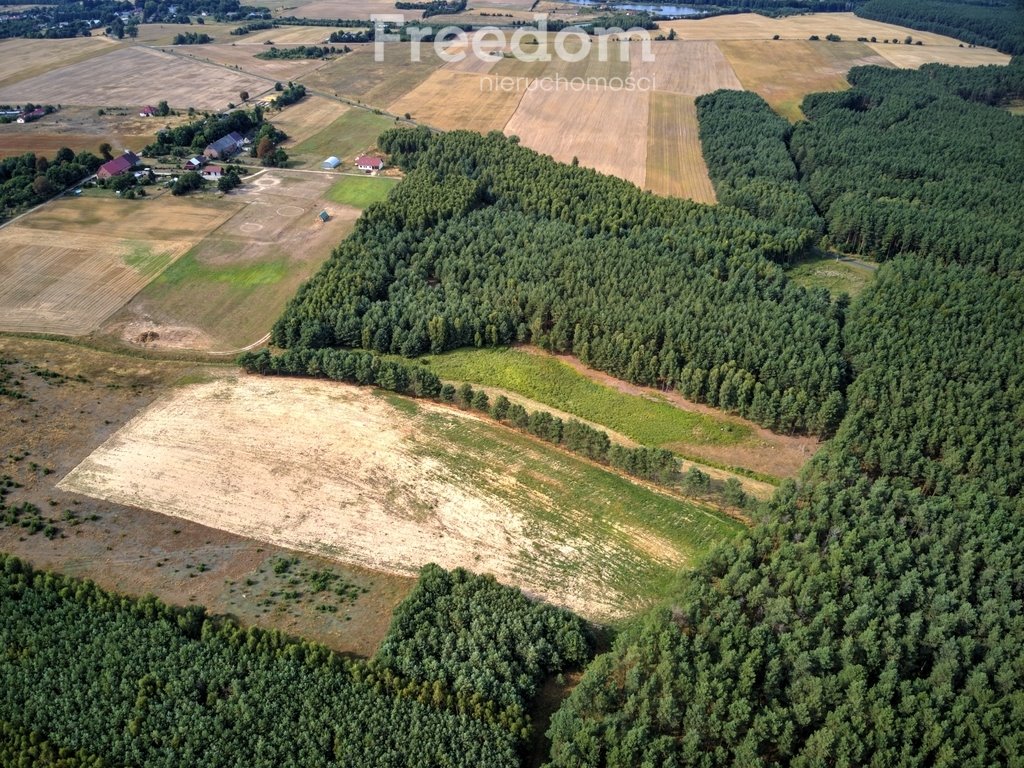 Działka inna na sprzedaż Łomnica  75 500m2 Foto 4