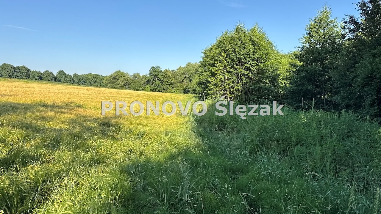 Do sprzedania działka siedliskowa 37 arów z możliwością zabudowy Oborniki Śląskie, Borkowice  3 700m2 Foto 1