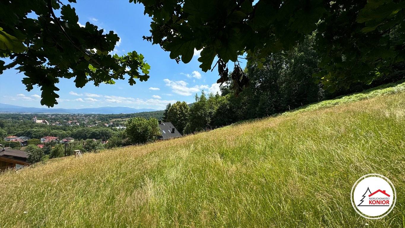 Działka budowlana na sprzedaż Buczkowice  3 272m2 Foto 5