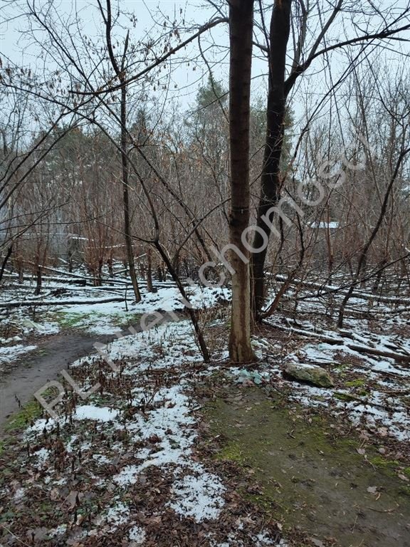 Działka budowlana na sprzedaż Milanówek  4 794m2 Foto 1