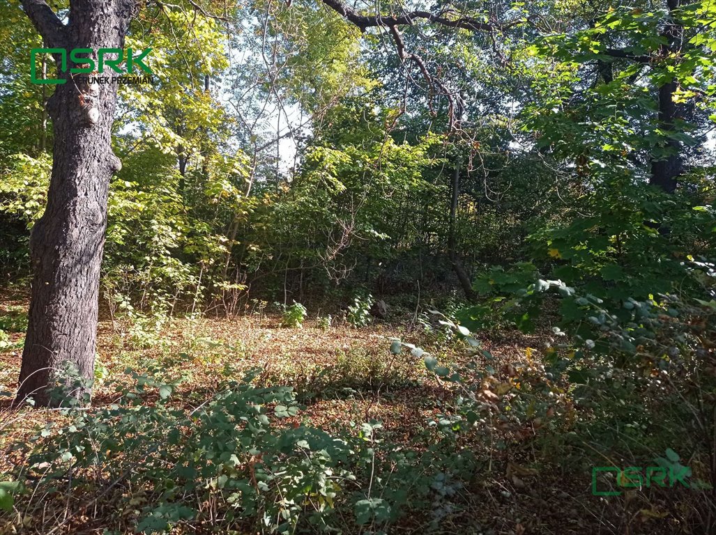 Działka inna na sprzedaż Sosnowiec, Ildefonsa Gałczyńskiego dz 2/31  1 420m2 Foto 1