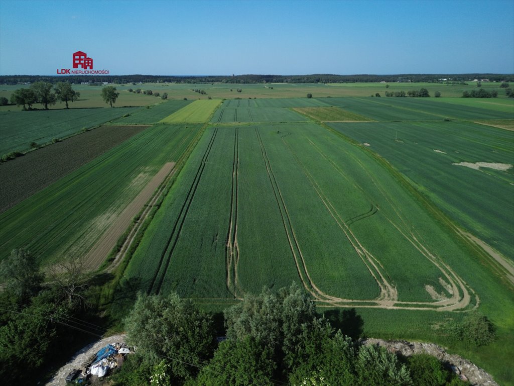 Działka siedliskowa na sprzedaż Gdańsk, Sobieszewo, Przegalińska  34 100m2 Foto 6