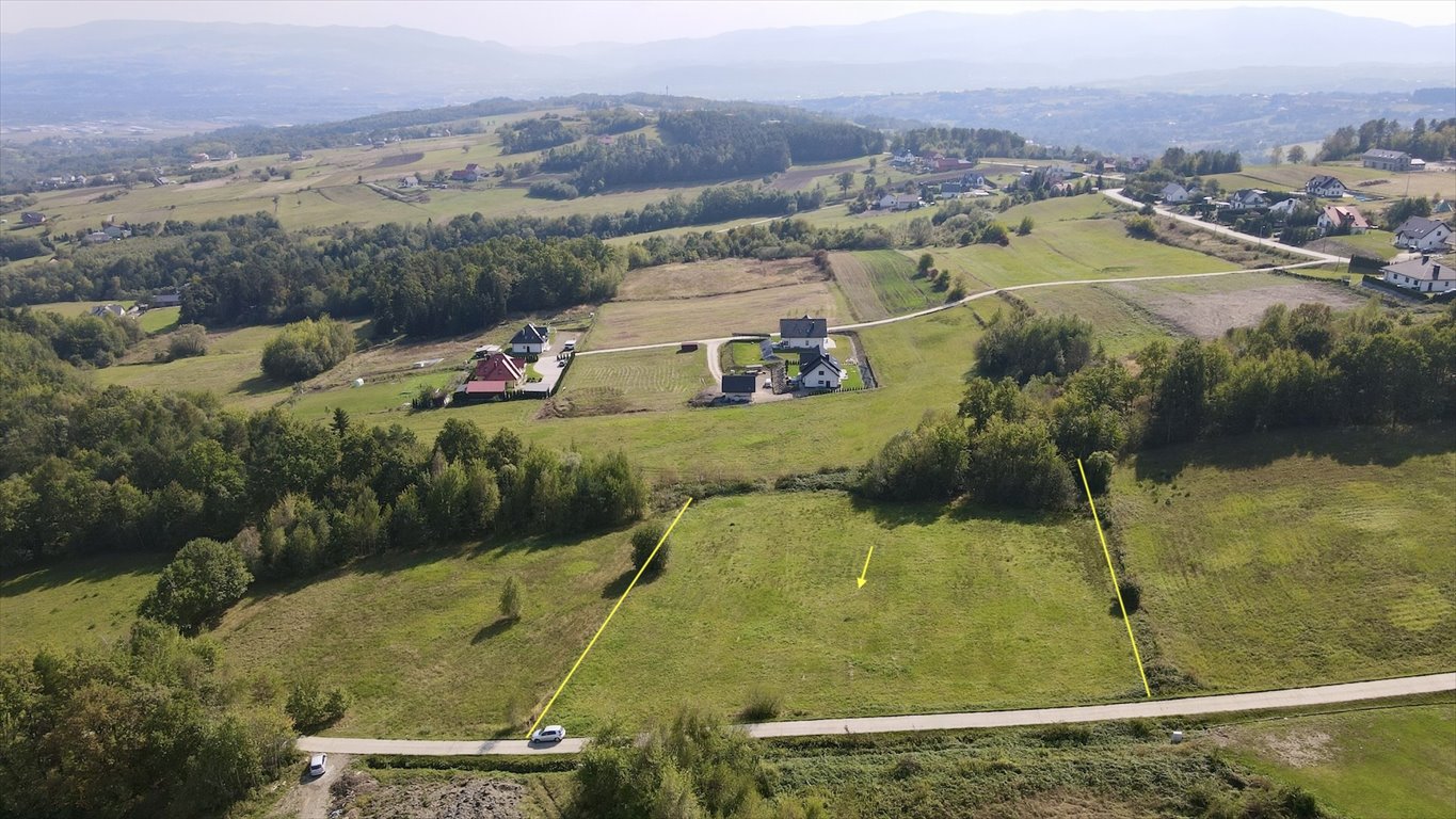 Działka budowlana na sprzedaż Chełmiec, trzetrzewina  6 700m2 Foto 5