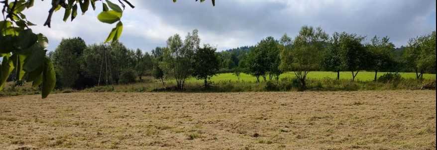 Działka 3000 m² pod zabudowę z widokami na góry i las Lądek-Zdrój  3 000m2 Foto 1