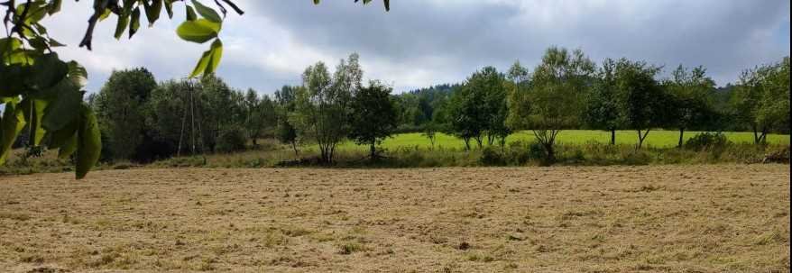 Działka inna na sprzedaż Lądek-Zdrój  3 000m2 Foto 1