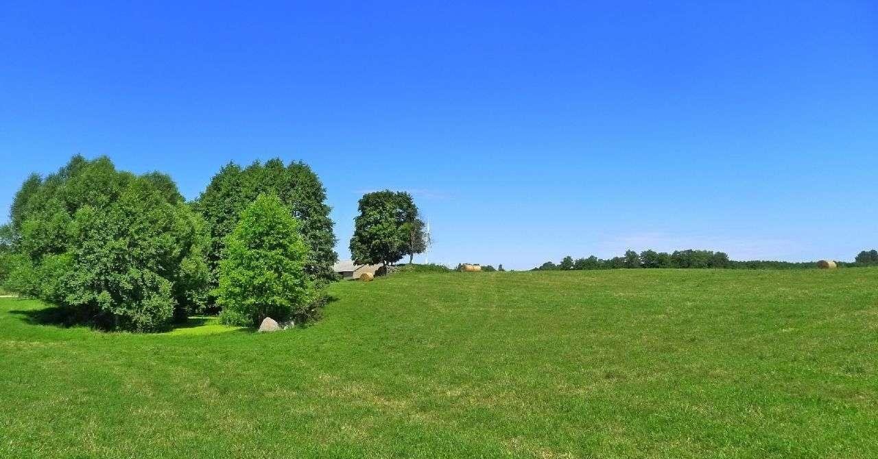 Działka budowlana na sprzedaż Suwałki  1 000m2 Foto 10