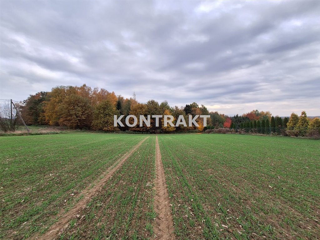 Działka budowlana na sprzedaż Osiek, Słoneczna  2 988m2 Foto 4