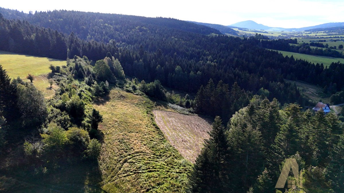 Działka leśna na sprzedaż Piorunka  12 800m2 Foto 1