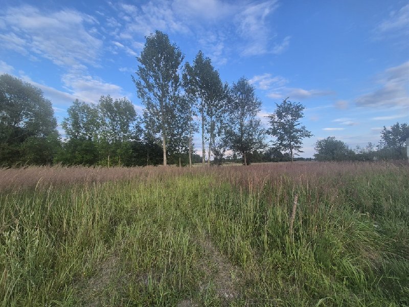 Do sprzedania działka 1152 m² z mediami w Sobuczynie Poczesna, Sobuczyna  1 152m2 Foto 1