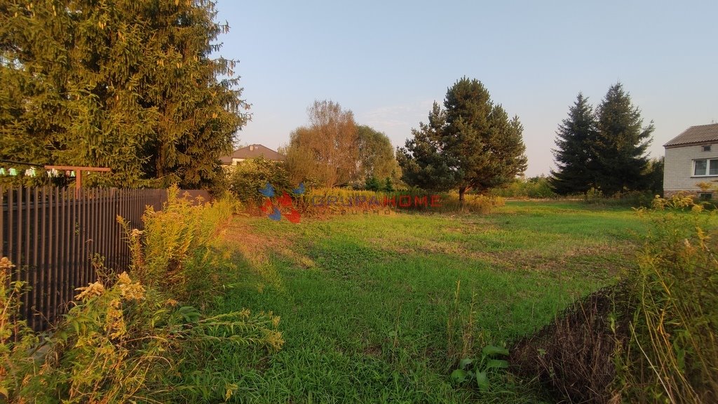 Działka budowlana na sprzedaż Borowina  1 200m2 Foto 5