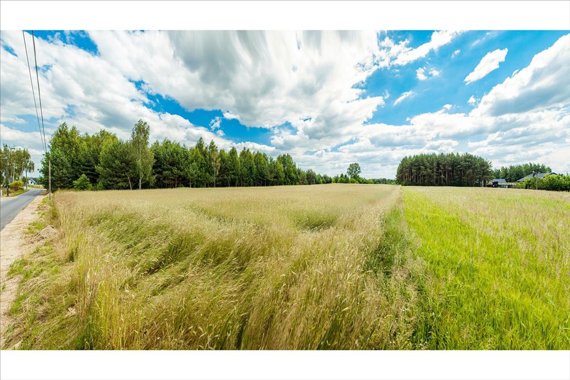 Działka budowlana na sprzedaż Nadarzyn  13 000m2 Foto 4