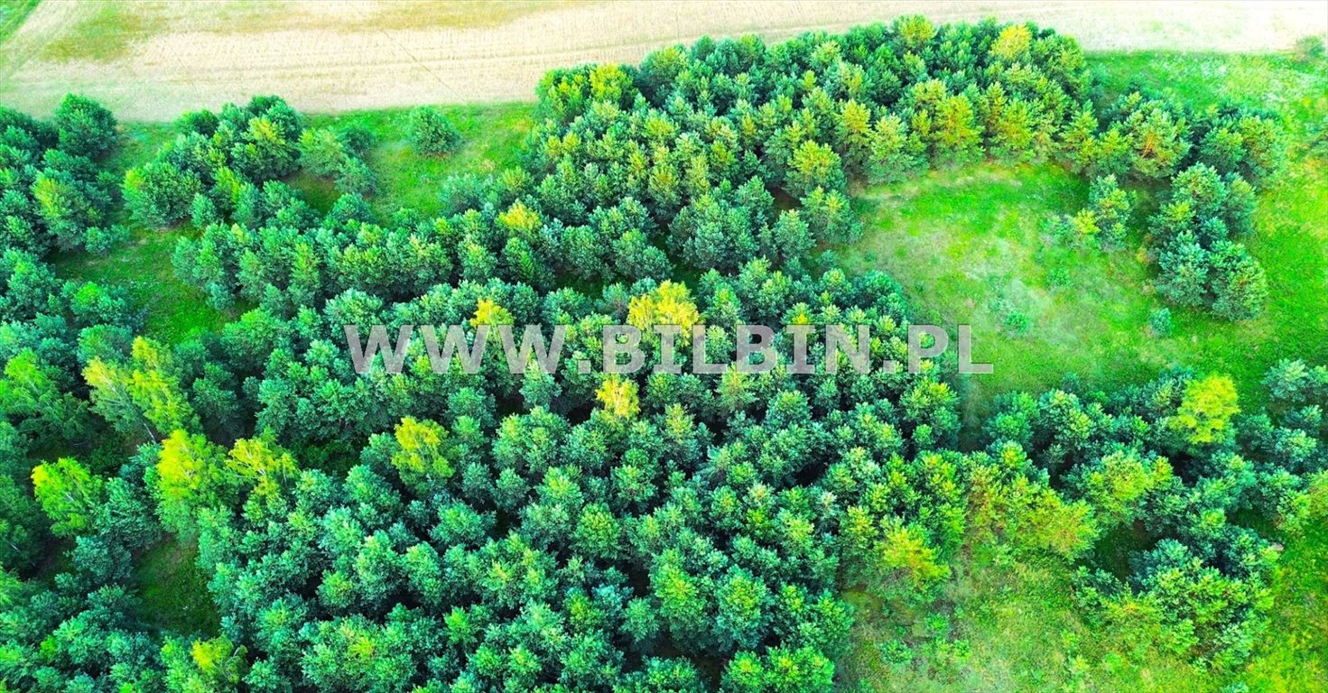 Działka rolna na sprzedaż Garbas  20 480m2 Foto 6