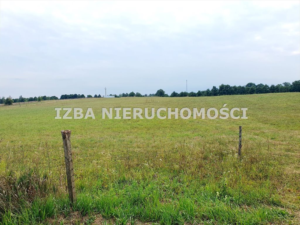 Działka rekreacyjna na sprzedaż Grabnik  3 400m2 Foto 6