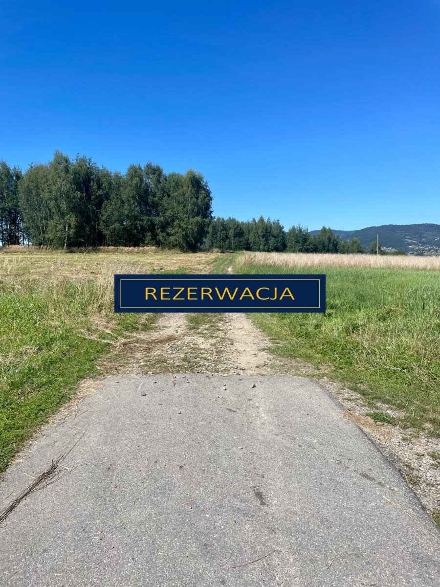 Działka budowlana na sprzedaż Rychwałd, Holnówka  1 073m2 Foto 6