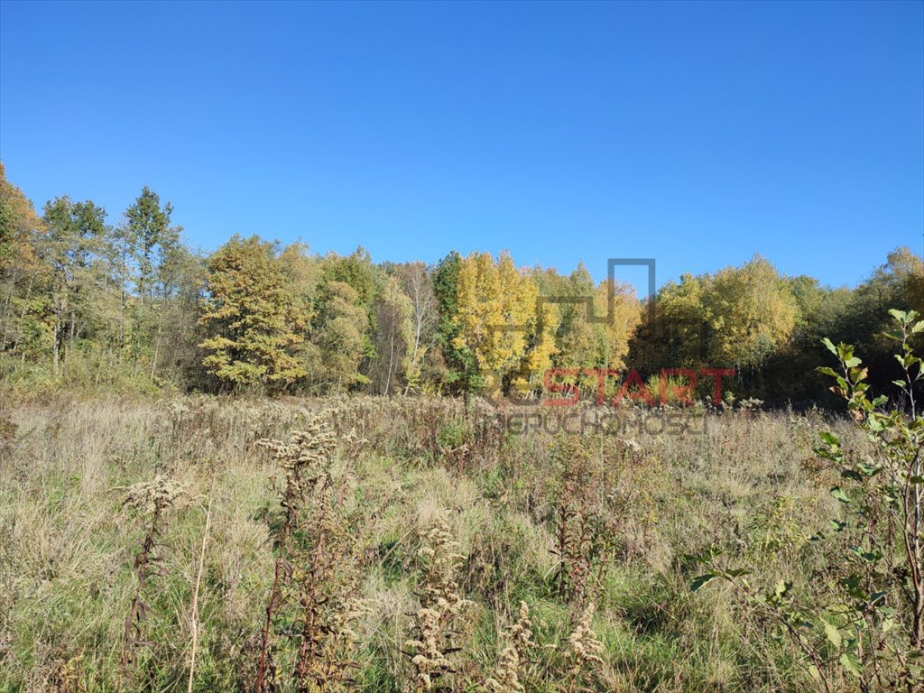 Działka budowlana na sprzedaż Adamów-Parcel  20 800m2 Foto 1