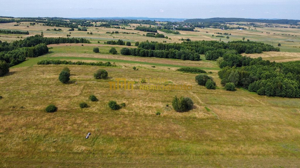 Działka rolna na sprzedaż Łężyny  1 500m2 Foto 6