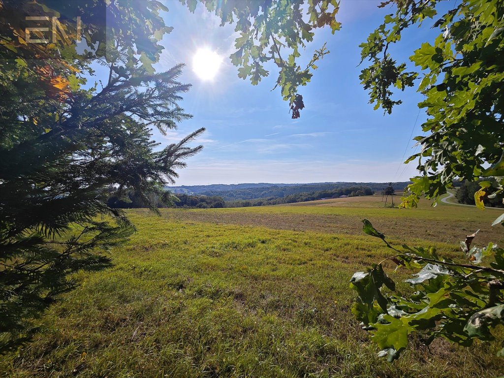 Działka budowlana na sprzedaż Harta  3 766m2 Foto 4