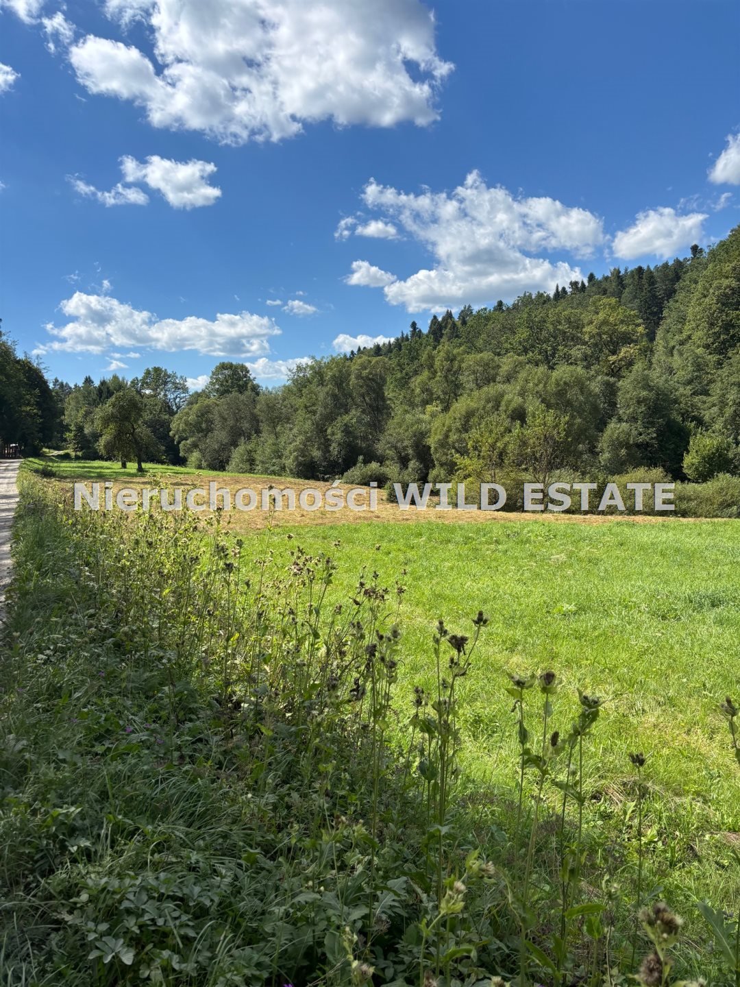 Działka 53 arów z warunkami zabudowy nad rzeką polecam Zagórz  5 336m2 Foto 1