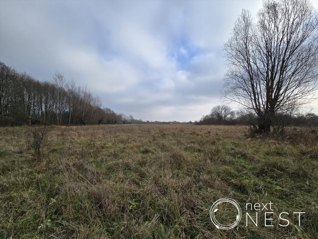 Działka siedliskowa na sprzedaż Wilczkowice Dolne  8 000m2 Foto 10