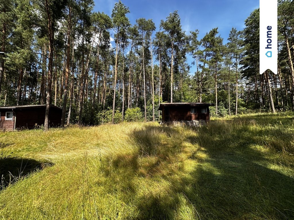 Lokal użytkowy na sprzedaż Błądzim  901m2 Foto 15