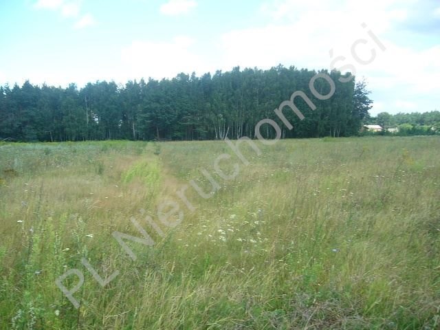 Działka rolna na sprzedaż Grzegorzewice 17 200m2 Foto 1 Działka rolna na sprzedaż Grzegorzewice 17 200m2 Foto 1