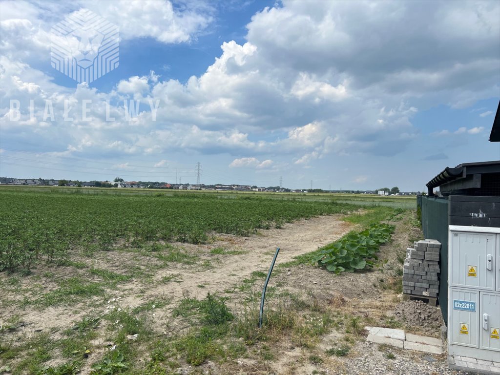 Działka budowlana na sprzedaż Nowa Wola, Azalii  1 000m2 Foto 3