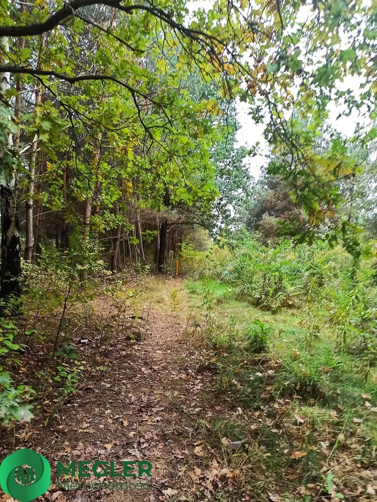 Działka budowlana na sprzedaż Zalesie  1 243m2 Foto 6