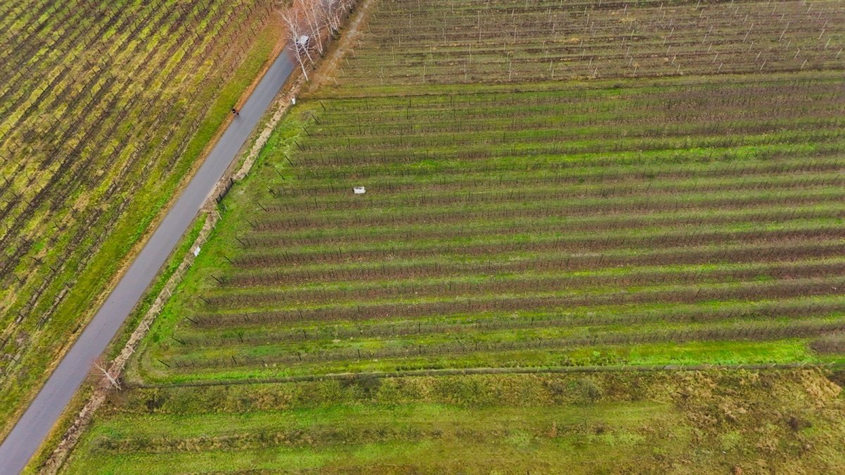 Działka budowlana na sprzedaż Warpęsy  1 200m2 Foto 3