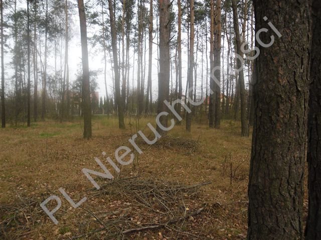 Działka leśna na sprzedaż Goździówka  3 692m2 Foto 1