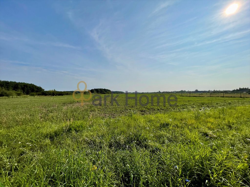 Działka budowlana na sprzedaż Klucze  1 291m2 Foto 2