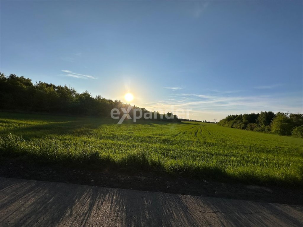 Działka inwestycyjna 12 236 m² przy Solnej z mediami Częstochowa, Solna  12 236m2 Foto 1