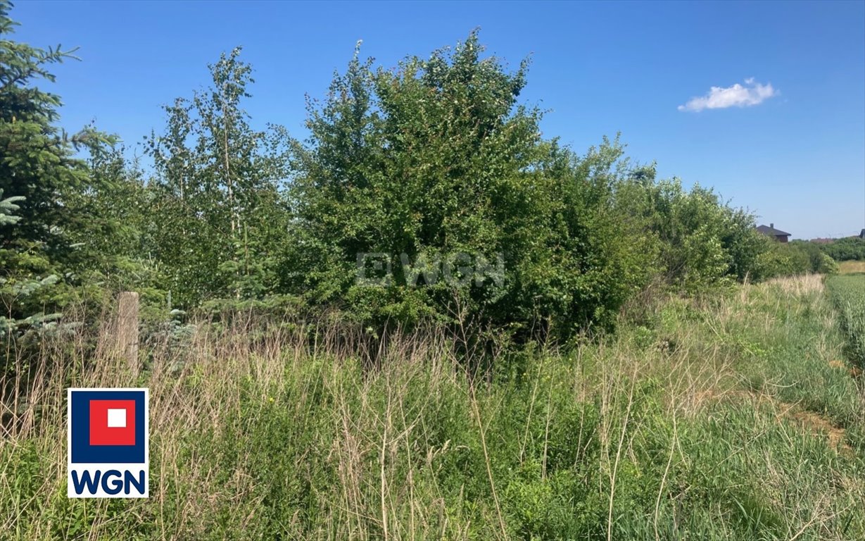 Działka budowlana na sprzedaż Ostrów Wielkopolski, Brzoskwiniowa, Agrestowa  4 482m2 Foto 1