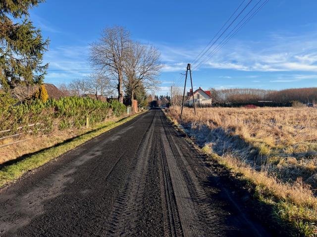 Działka budowlana na sprzedaż Czernin, Czernin  2 692m2 Foto 12