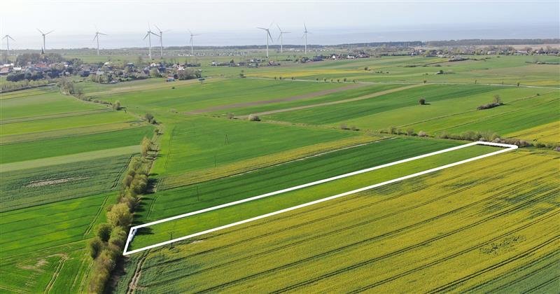 Działka budowlana na sprzedaż Zakrzewo, Zakrzewo  13 600m2 Foto 2