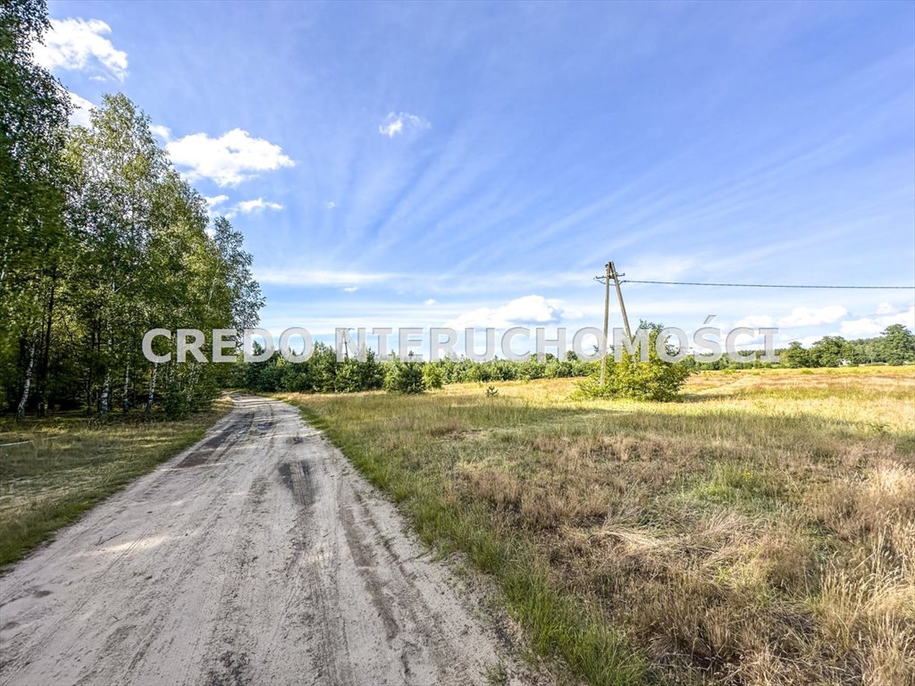 Działka rolna na sprzedaż Jedwabno  3 000m2 Foto 3