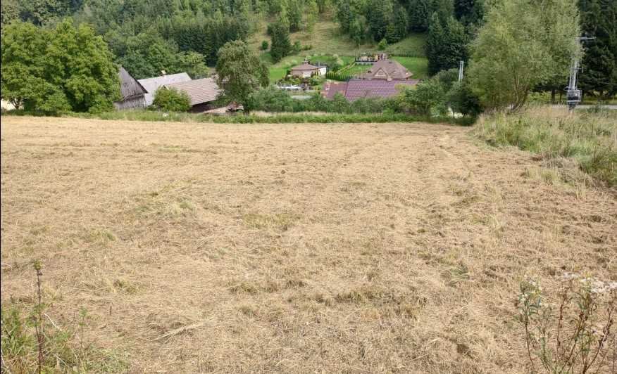 Działka inna na sprzedaż Lądek-Zdrój  3 000m2 Foto 3