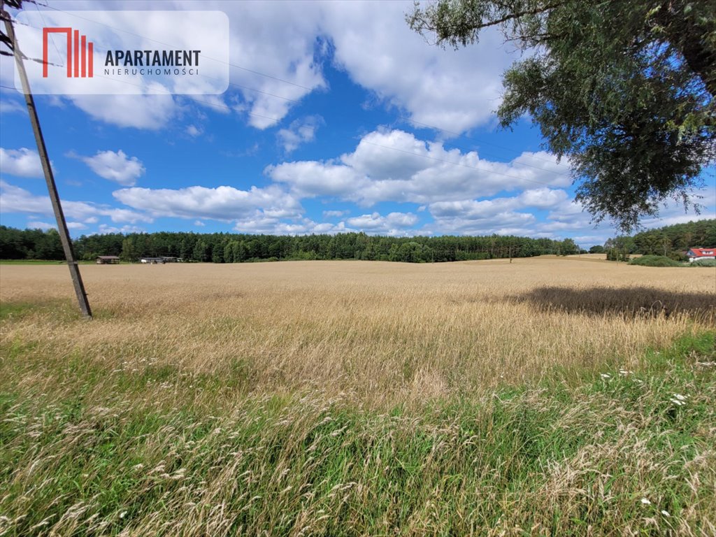 Działka gospodarstwo rolne na sprzedaż Skorzewo  6 000m2 Foto 7