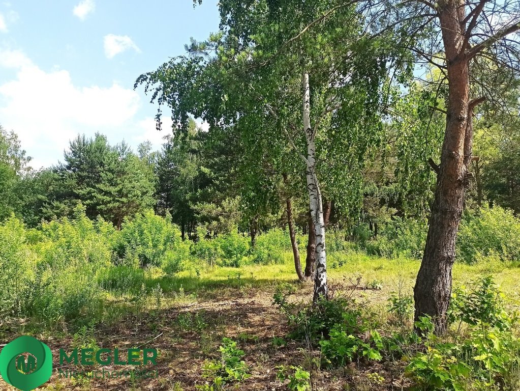 Działka budowlana na sprzedaż Ojrzanów  1 000m2 Foto 8