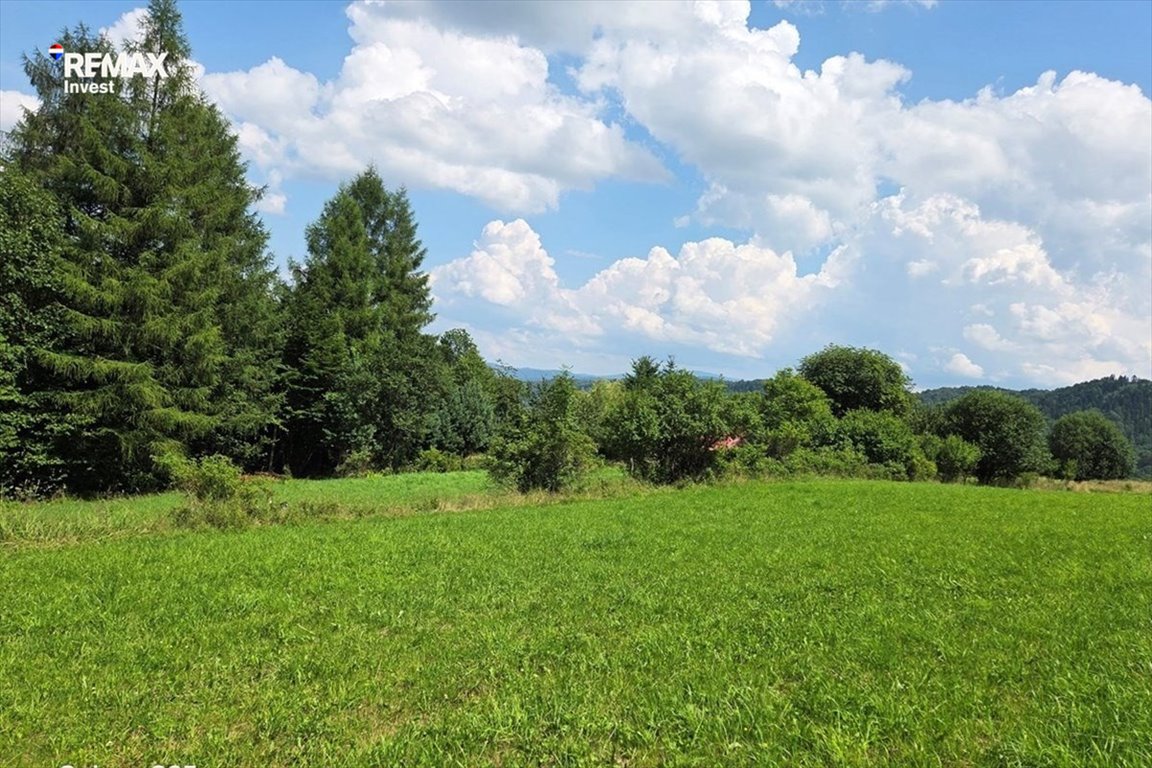 Sprzedam działkę 1642 m² w Kamesznicy z lasem i strumieniem Kamesznica, Pod Jabłonie  1 642m2 Foto 1