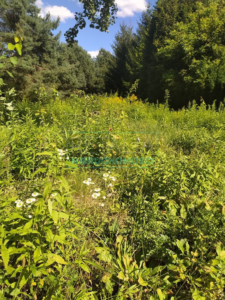 Działka budowlana na sprzedaż Nadarzyn  3 200m2 Foto 2