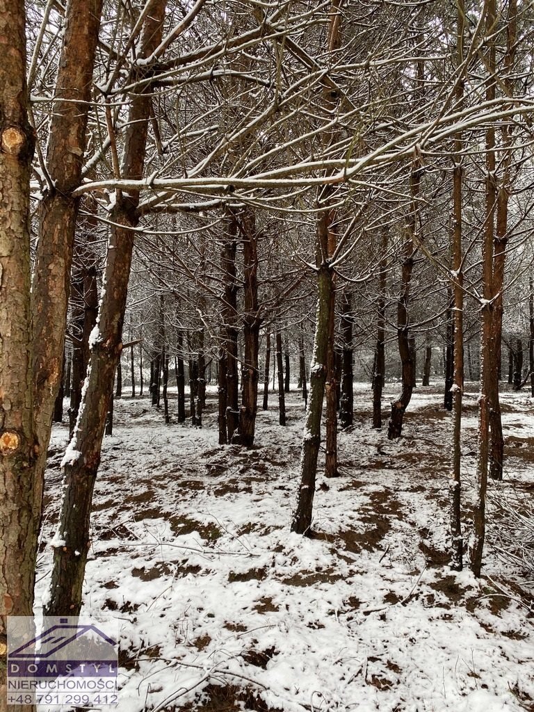 Działka inna na sprzedaż Zawiercie, Skarżyce, zawierciański  8 077m2 Foto 7