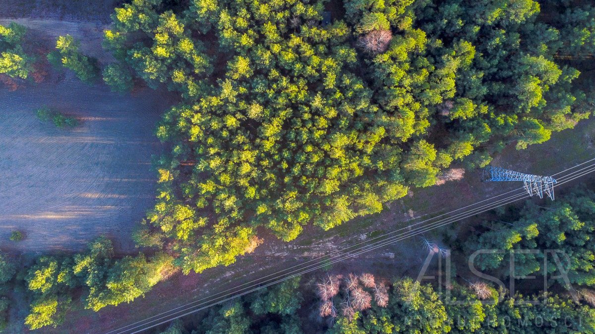 Działka budowlana na sprzedaż Prabuty  7 770m2 Foto 10