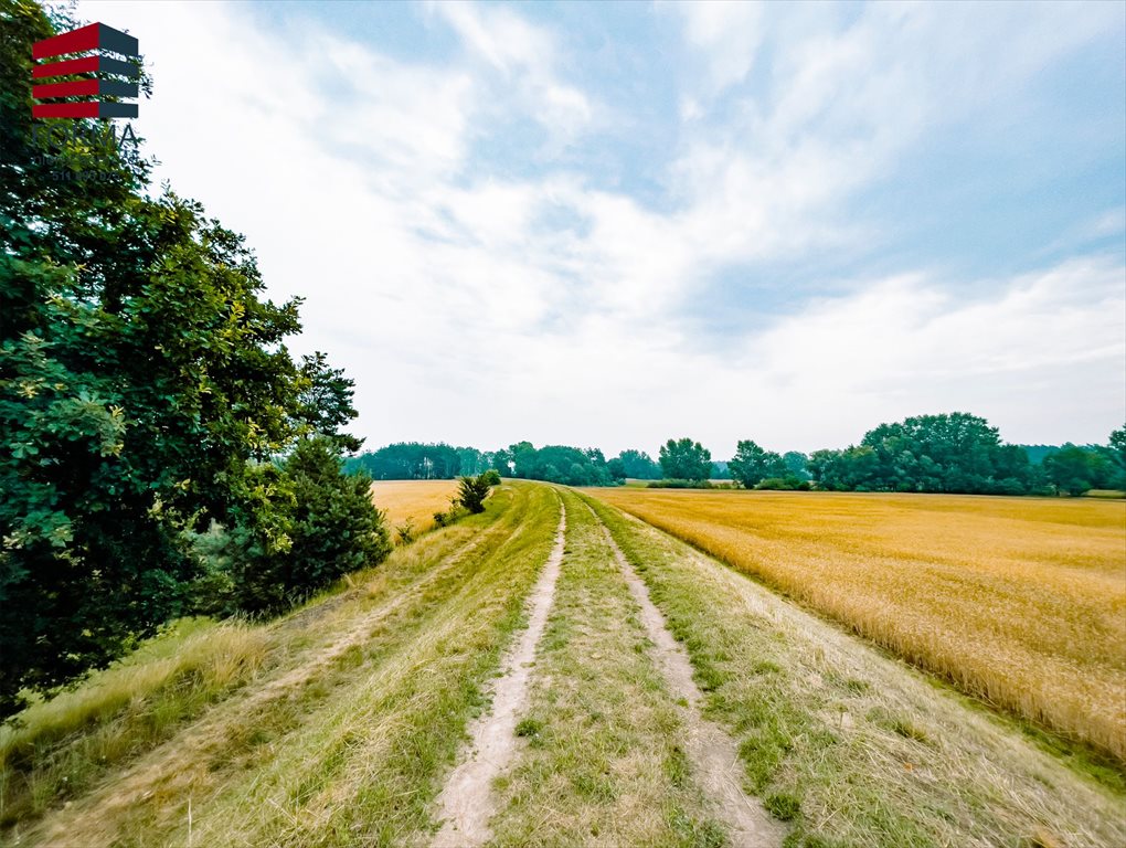 Działka leśna na sprzedaż Pięczkowo, Pięczkowo, sportowa 212/1  35 280m2 Foto 4