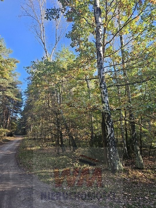 Działka budowlana na sprzedaż Chynów  4 800m2 Foto 8